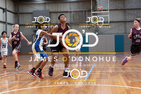 Wollemi Wildfire v Scorpions CPSM 12B1-17